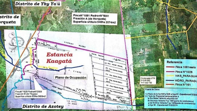Invasores campesinos depredaron inversión forestal de G. 2.100 millones