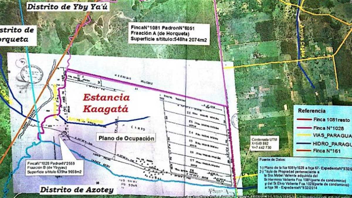 Invasores campesinos depredaron inversión forestal de G. 2.100 millones