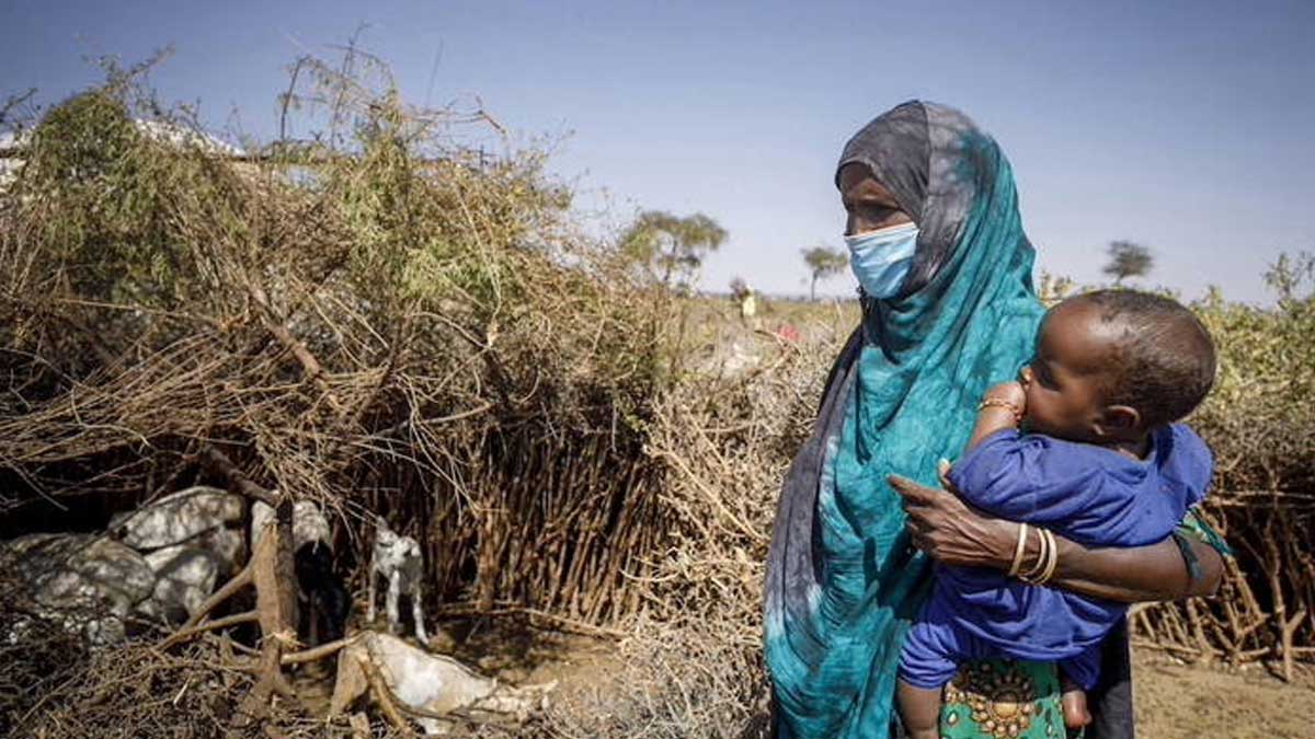 Las balas, la burocracia y la falta de financiación obstaculizan el socorro a los afectados por el hambre, advierten la fao y el pma ante el aumento de la inseguridad alimentaria aguda, que alcanza un nuevo máximo