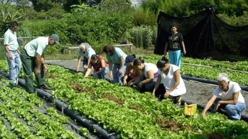 La agricultura tiene un papel fundamental en los países de América