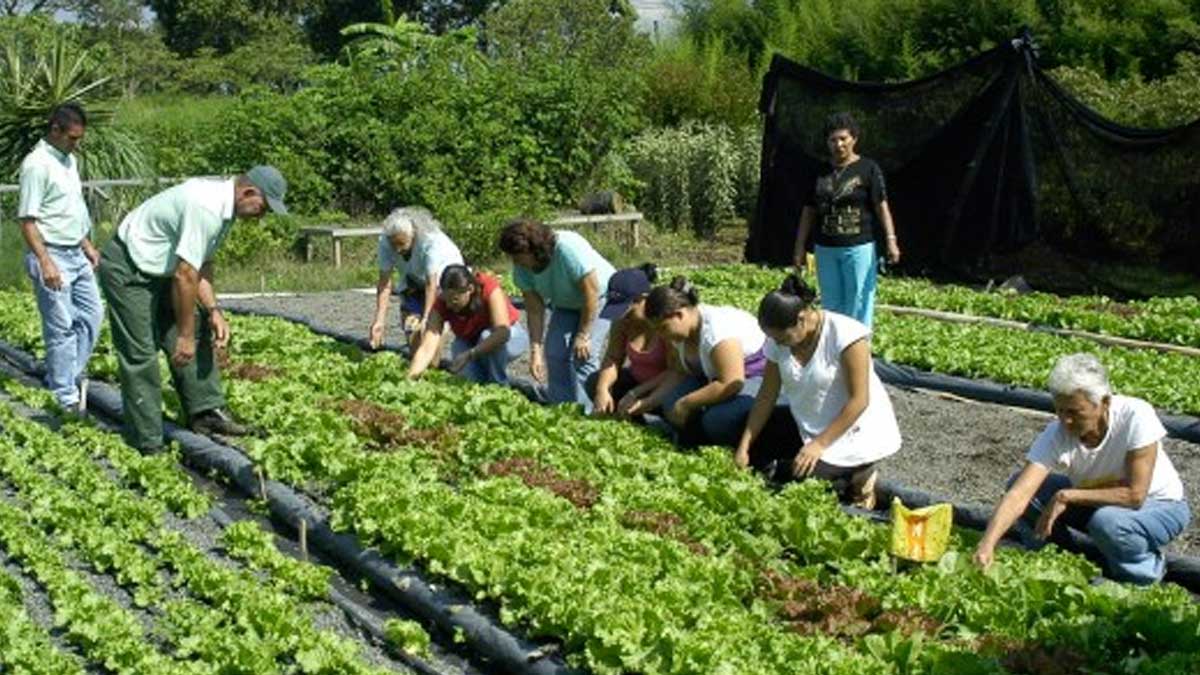 La agricultura tiene un papel fundamental en los países de América