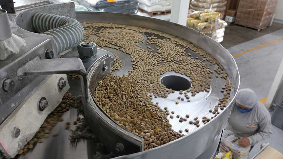 Lenteja importada cubre demanda interna en Ecuador y sirve de insumo para exportar productos semiprocesados y procesados