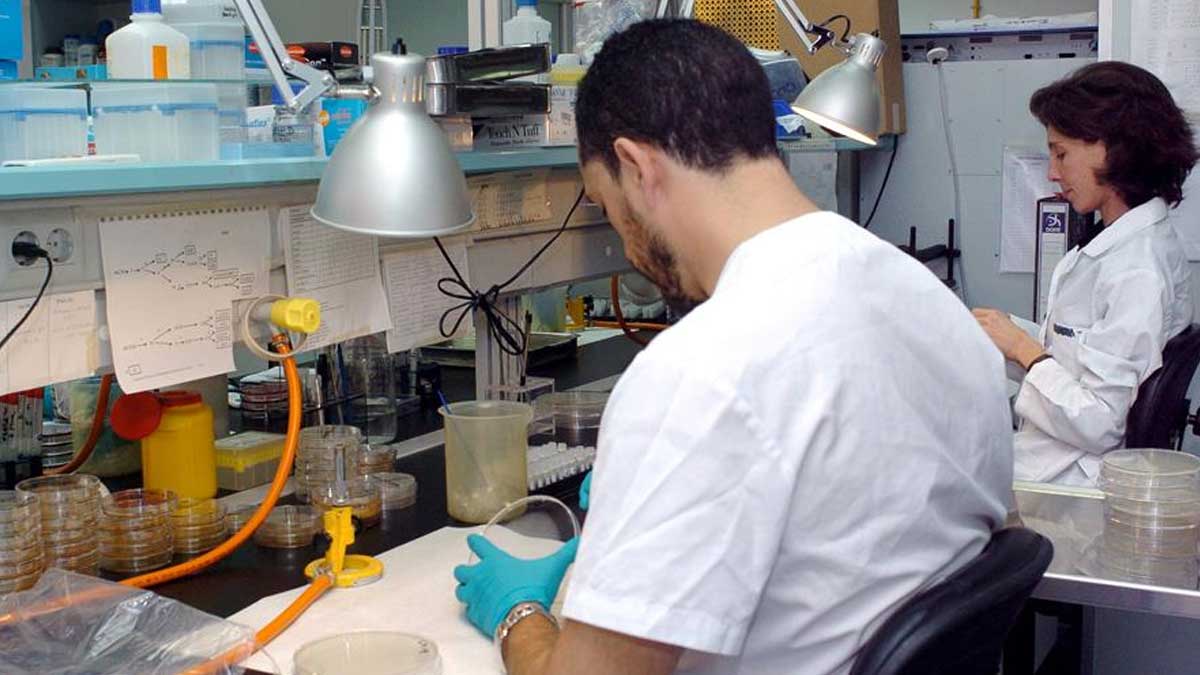 Los veterinarios españoles alertan de que más del 60 % de las enfermedades tiene origen animal