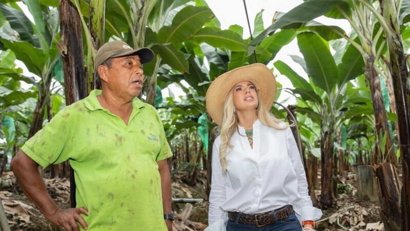 Prefecta se reúne con productores de banano