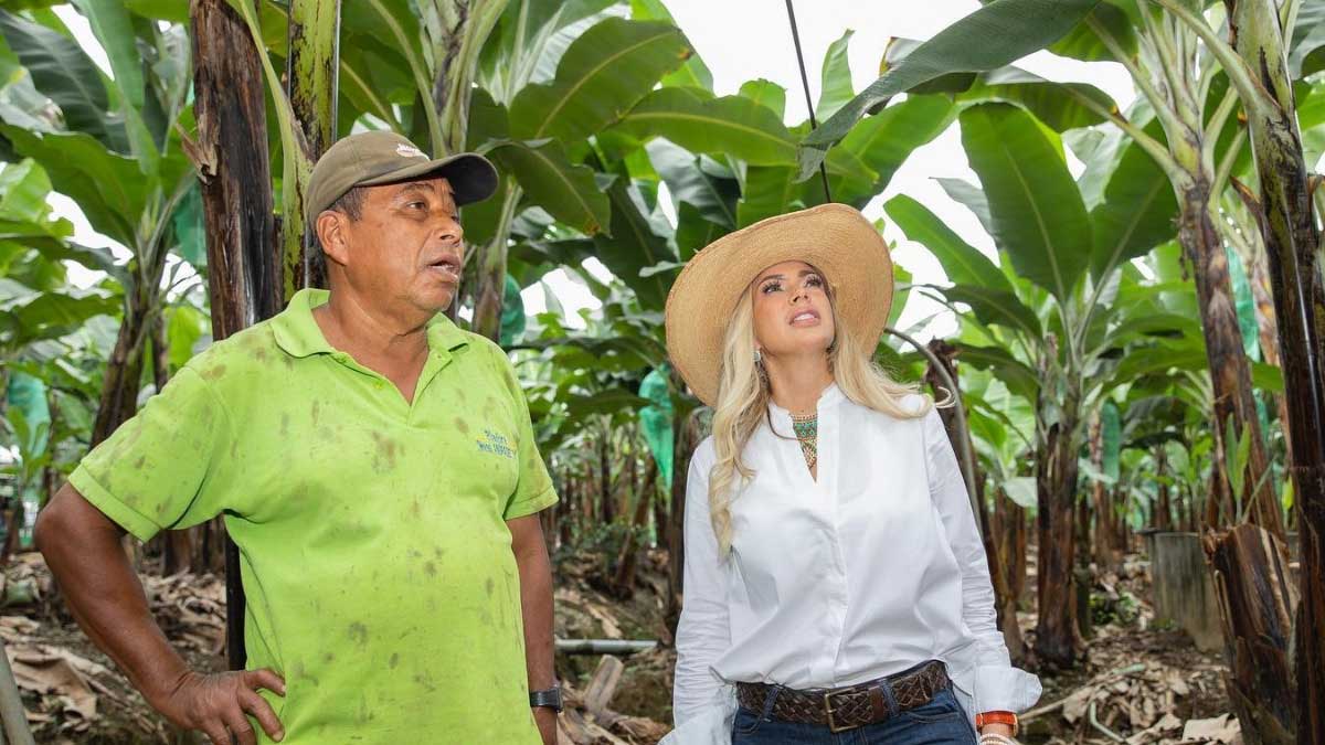 Prefecta se reúne con productores de banano