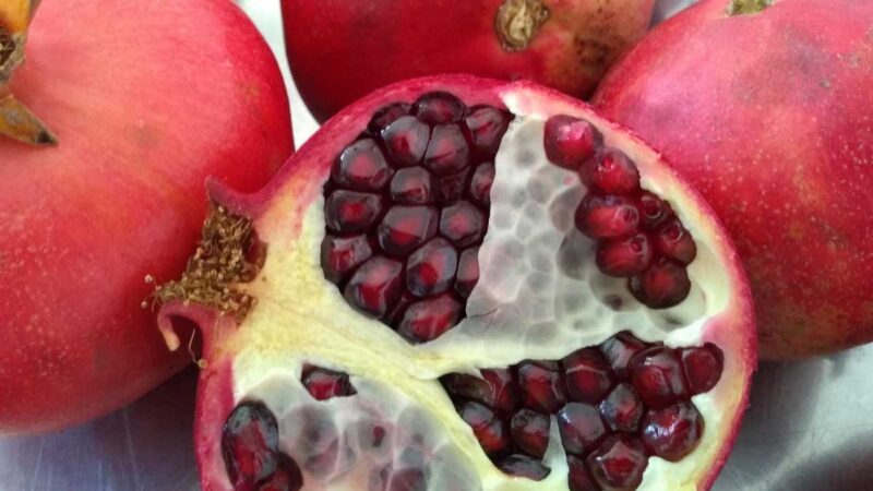 Presentan resultados de proyecto que incorpora residuos de granada a cadena productiva