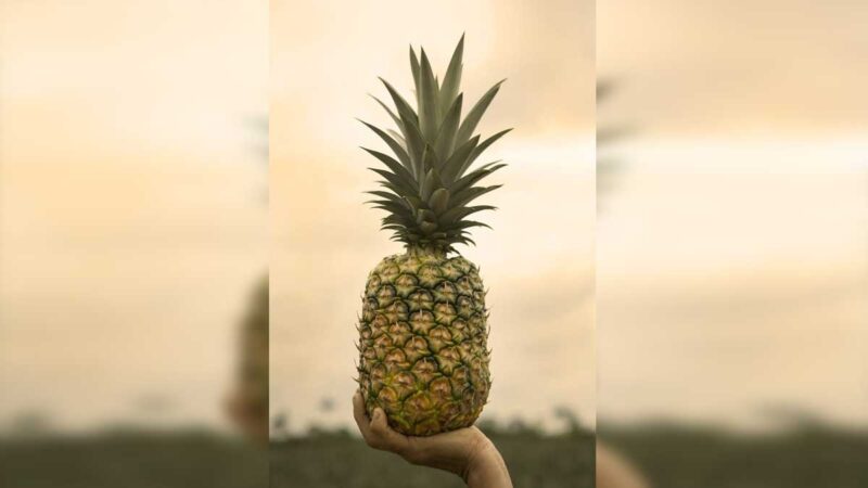 Primera piña carbono neutro del mundo desde el cultivo hasta destino final