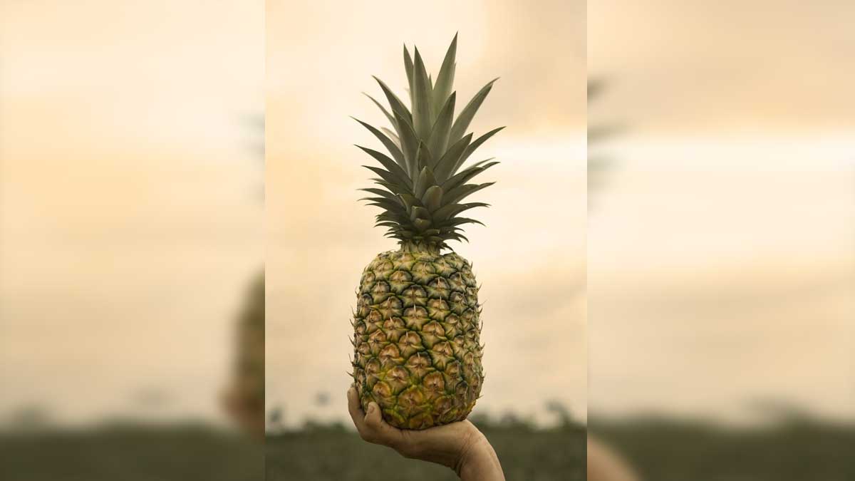Primera piña carbono neutro del mundo desde el cultivo hasta destino final