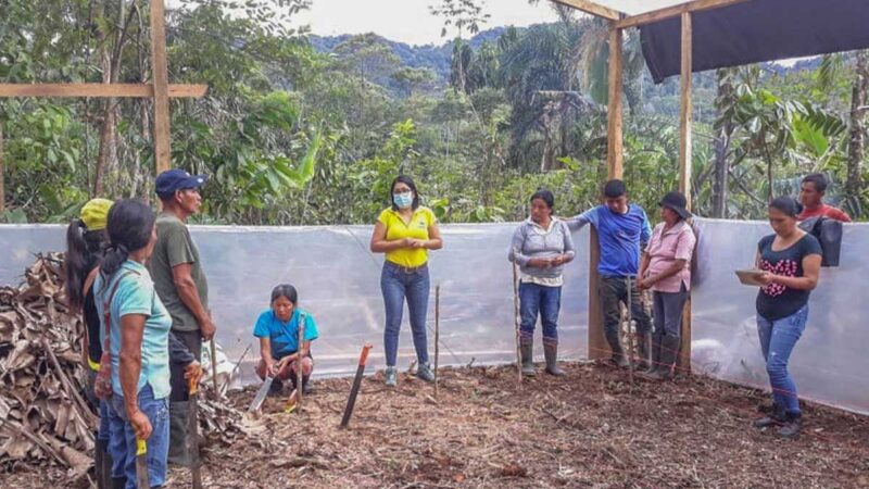 Productores de Santa Clara se capacitan en cultivo de Vainilla