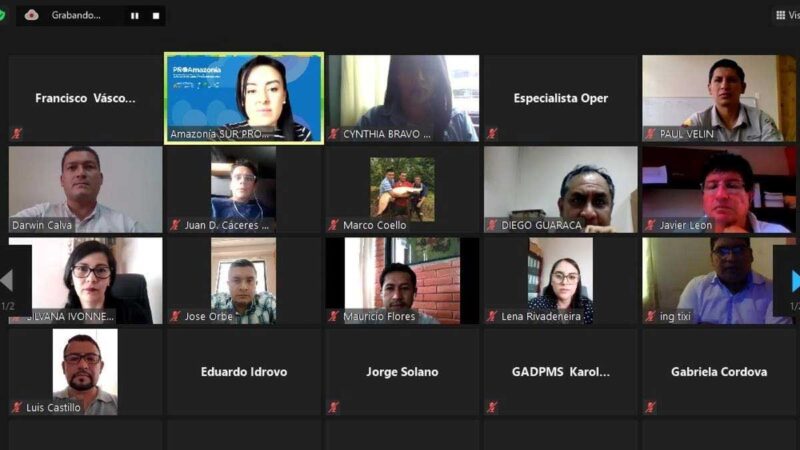 Se realiza taller virtual “Modelos de ordenanzas y perfiles de proyectos para trabajar coordinadamente GADPMS – PROAmazonía”.