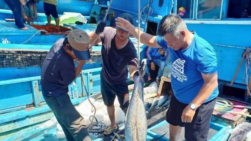 Vietnam refuerza medidas contra la pesca ilegal