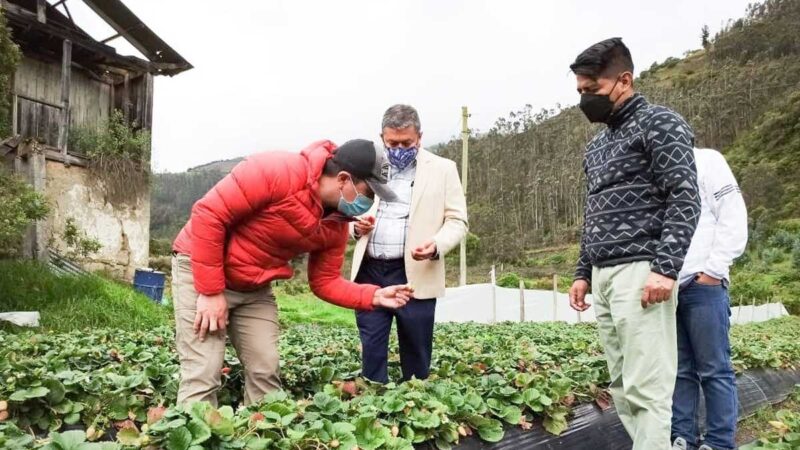 Alianzas estratégicas a favor de los productores