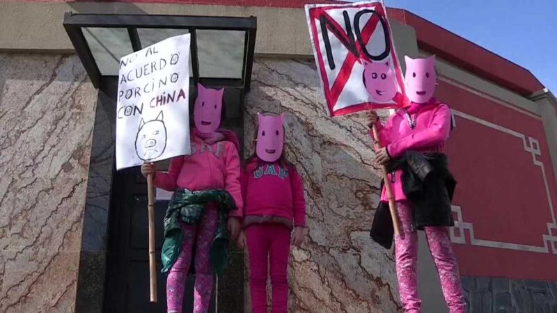Ambientalistas protestan contra pacto porcino que negocian Argentina y China