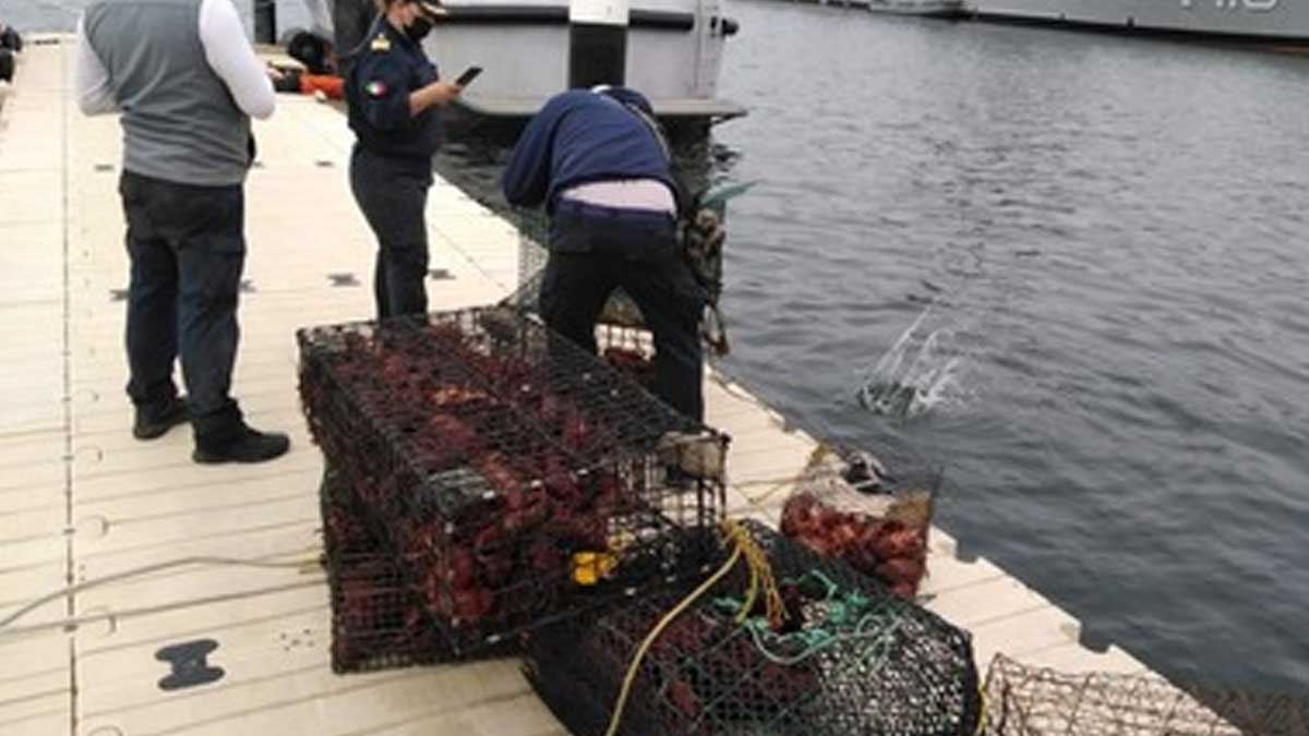 Autoridades federales continúan realizando recorridos de inspección durante veda de langosta roja en Rincón Ballenas, Ensenada, BC
