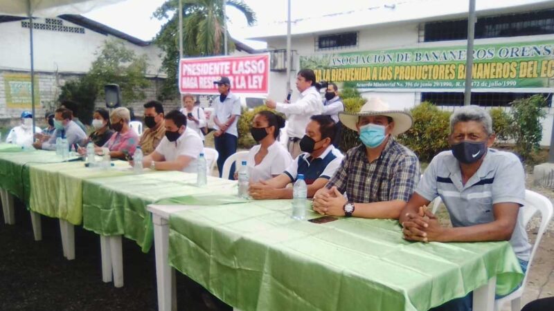 Bananeros no descartan paralización general de actividades
