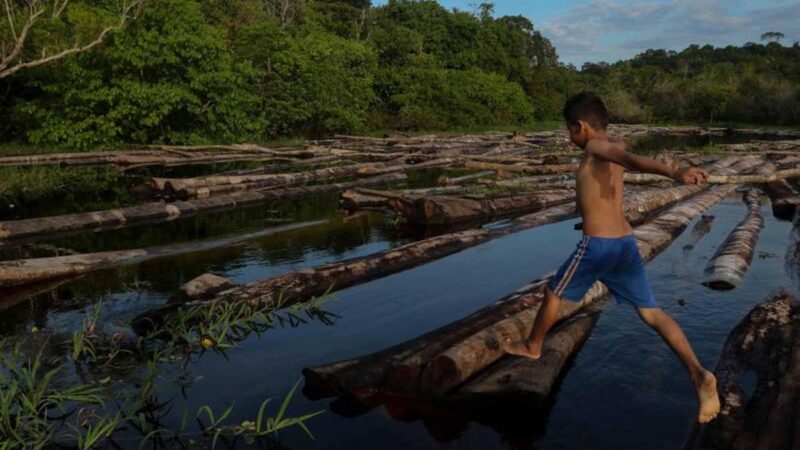 Brasil perdió la sexta parte de sus áreas cubiertas de agua en tres décadas