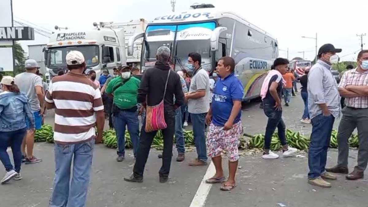 Con racimas, bananeros de Los Ríos cierran vías a la espera de que el presidente de la República escuche sus reclamos