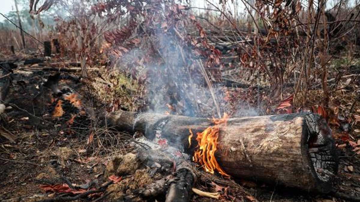 Confirman mayor incidencia de desastres climáticos en Latinoamérica y Caribe