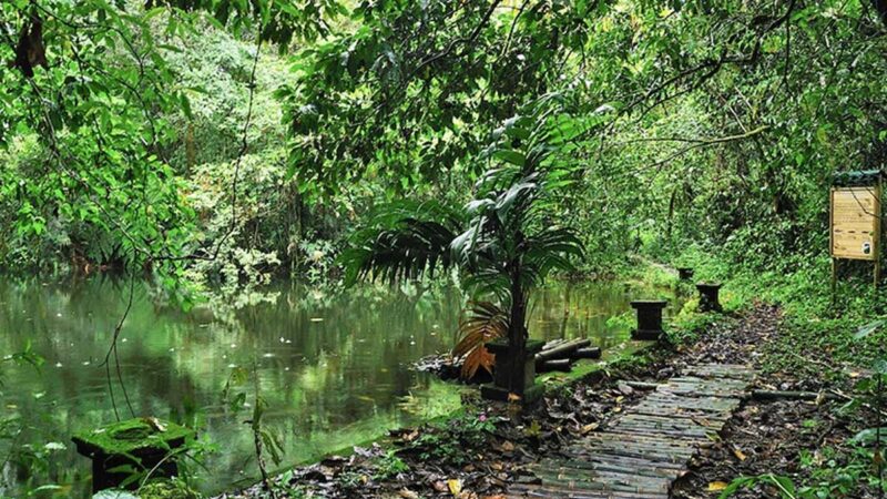 Cundinamarca dispondrá de una plataforma de monitoreo ambiental