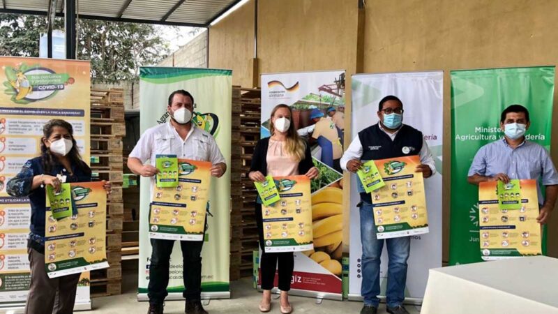 MAG, Agrocalidad y GIZ presentan campaña para evitar contagios por Covid-19, en plantaciones bananeras