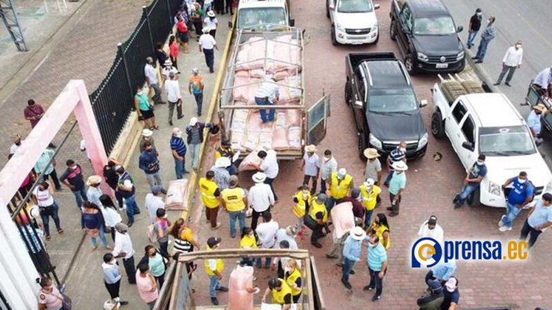 El Prefecto de los Ríos entregó semillas certificadas de arroz a agricultores de Baba, Vinces y Puebloviejo