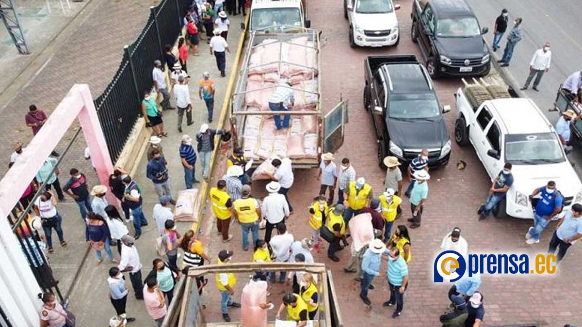 El Prefecto de los Ríos entregó semillas certificadas de arroz a agricultores de Baba, Vinces y Puebloviejo