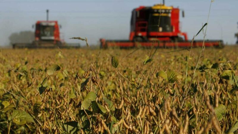 El ingreso de divisas a Argentina por exportaciones del sector “agro” subió un 53 % en julio