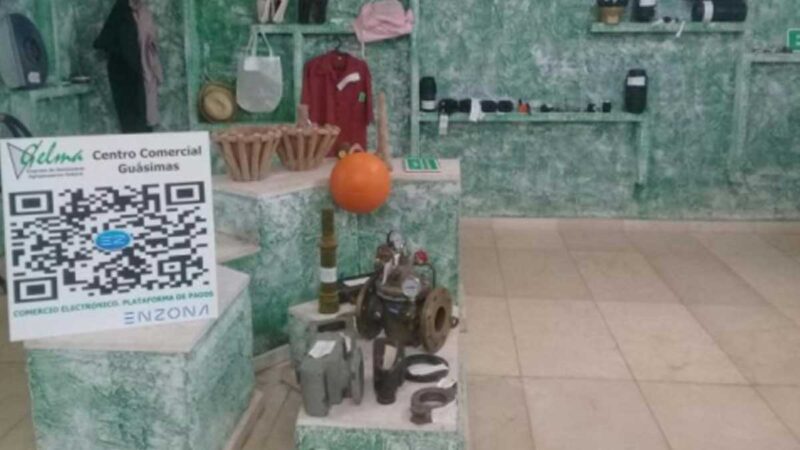 El pago electrónico, alternativa de Gelma para acercar los insumos al productor