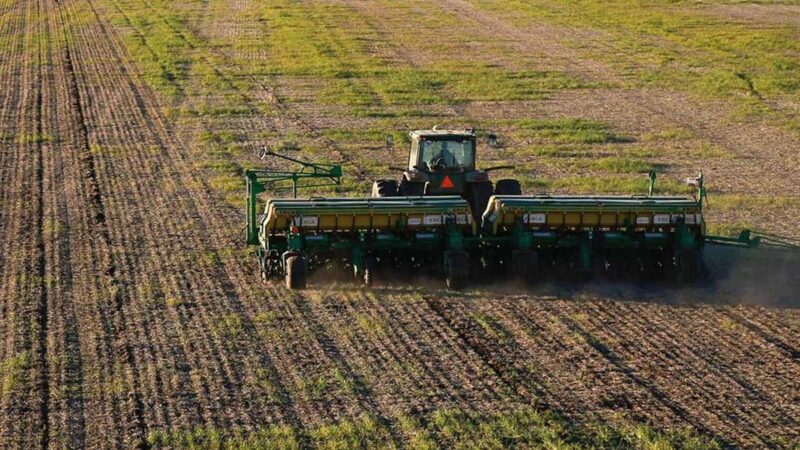 Finalizó la siembra de granos finos marcando un nuevo récord histórico