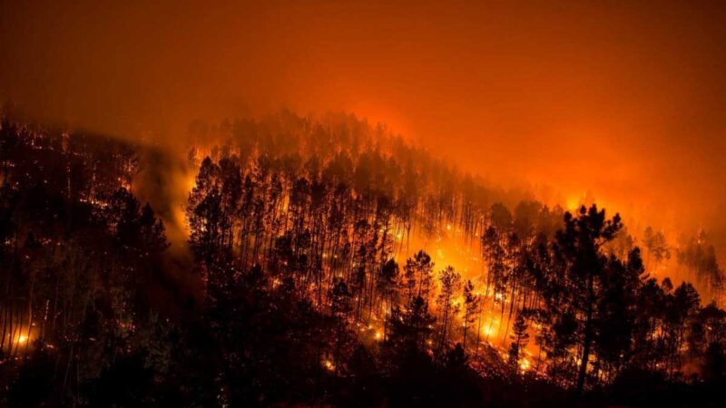 Grecia lucha contra dos importantes incendios forestales
