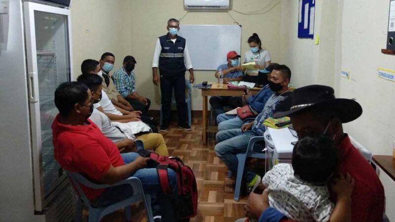 La peste porcina africana es una amenaza y podría llegar a través de ropa de los viajeros a Ecuador, ¿cuál es el plan para evitar el virus que la provoca?