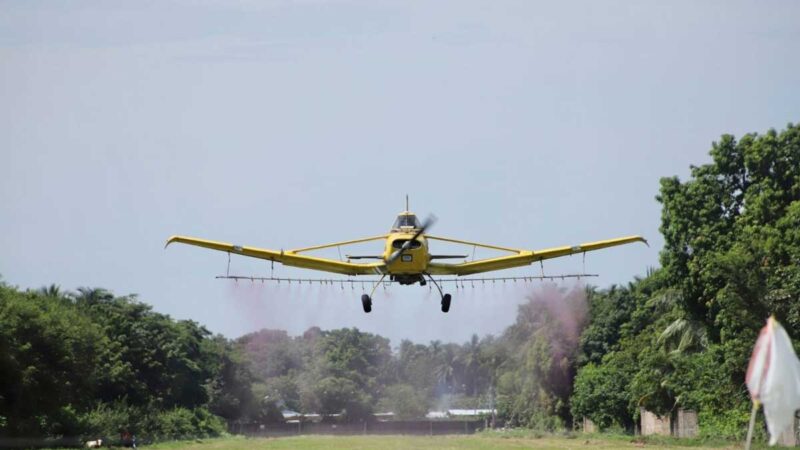 MAG regulará la aplicación aérea de insumos agrícolas