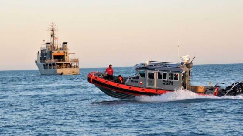 México trabajará con varias ONG para preservar el hábitat de la vaquita marina