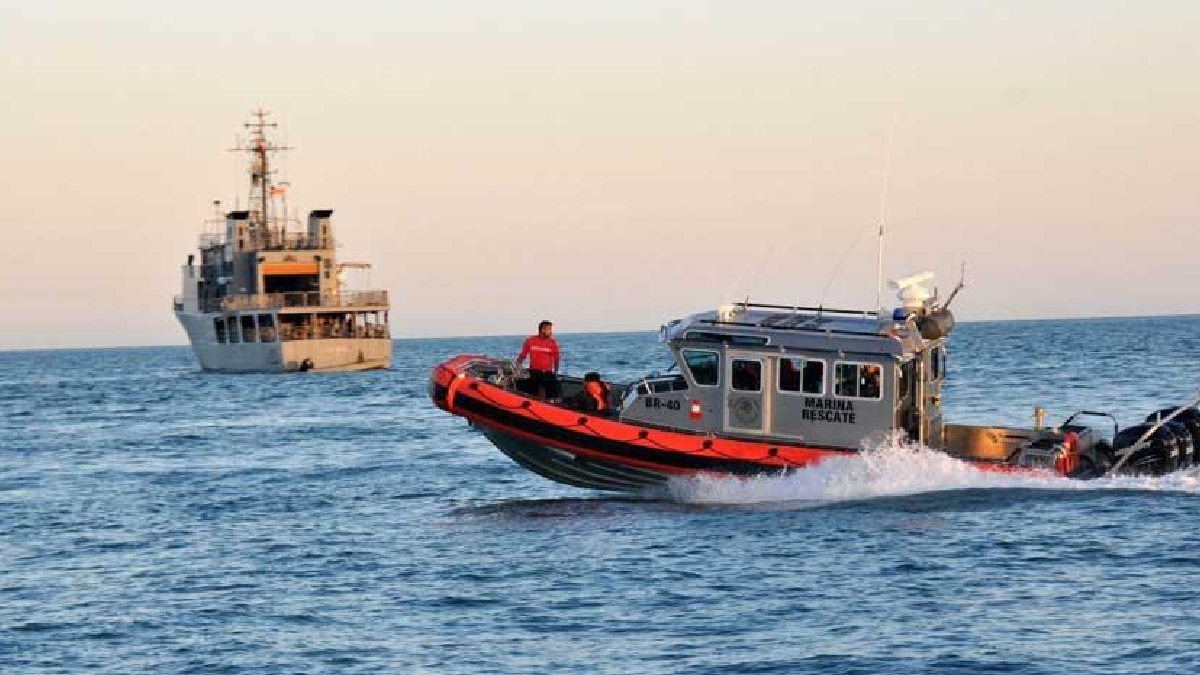 México trabajará con varias ONG para preservar el hábitat de la vaquita marina