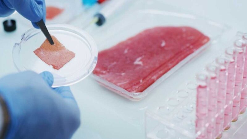 Nestlé pretende ampliar su abanico de productos con carne cultivada en laboratorio a base de células animales