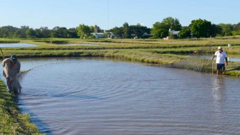 País de Sudamérica se asocia con China para la promoción y desarrollo de la acuicultura