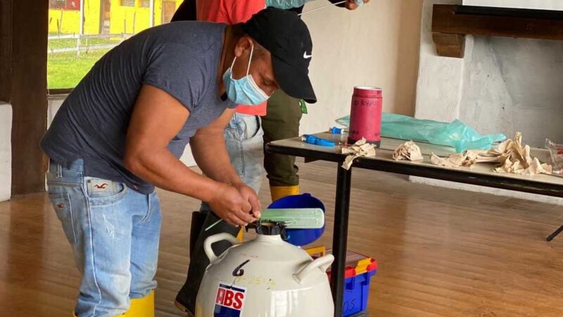 Productores ganaderos se benefician con acciones gratuitas del MAG