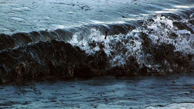 Un vertido de crudo en el mar Negro contamina 80 kilómetros cuadrados