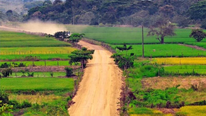 Agricultores se benefician con trabajos de la Prefectura