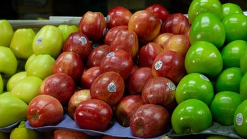 Agricultura estima crecimiento de dos dígitos en producción nacional de manzanas al cierre del ciclo agrícola 2021