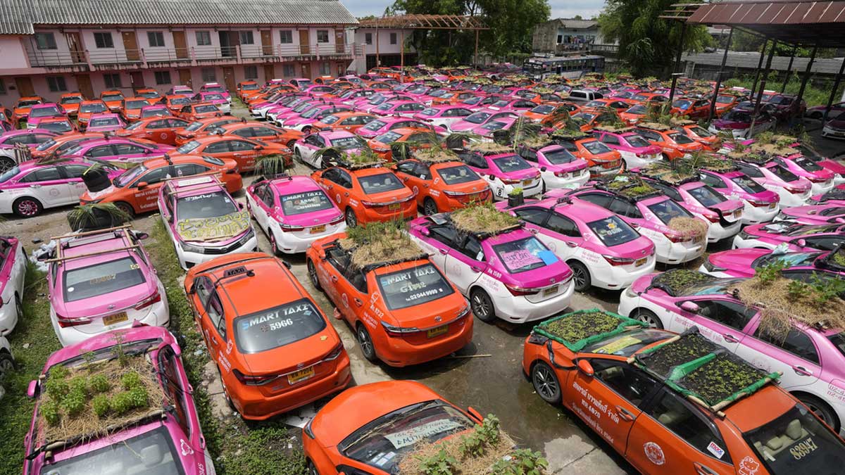 Convierten un ‘cementerio’ de taxis paralizados por la pandemia en una huerta sobre ruedas en Bangkok
