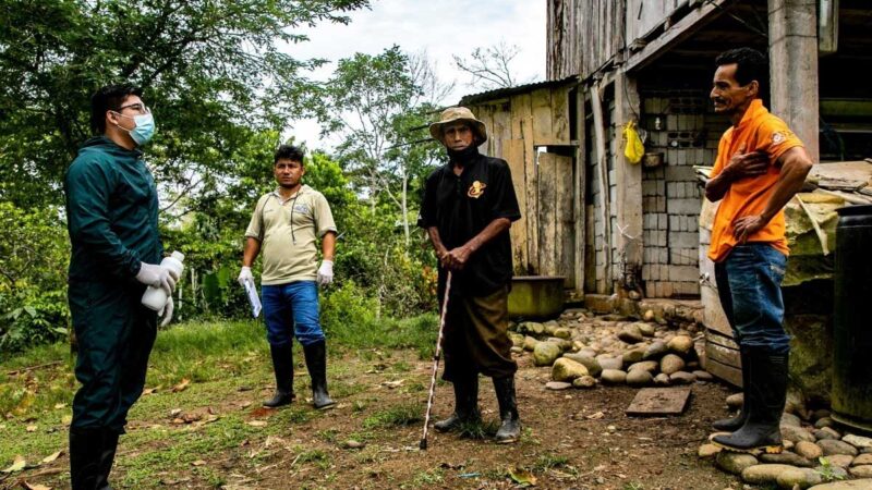 Crianza de cerdos entregados a organizaciones sociales