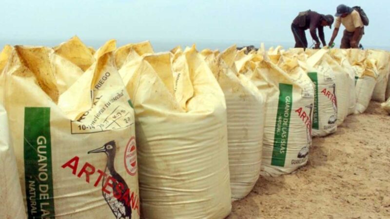 Cusco: productores adquieren 120 toneladas de guano de isla a precio social