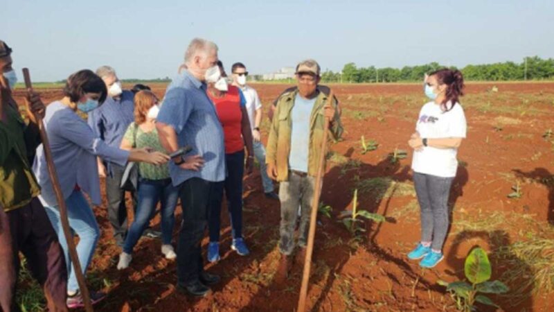 Díaz-Canel visita polos productivos en Mayabeque