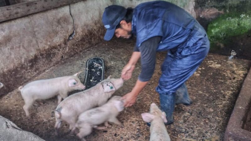 ¡Emergencias veterinarias una prioridad de la Prefectura de Pastaza!