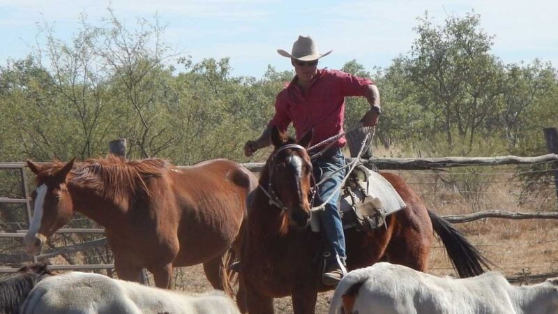 Ganaderos se niegan a aceptar al Bitcoin como forma de pago