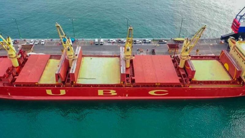 Gobierno importará 115,000 toneladas de maíz blanco