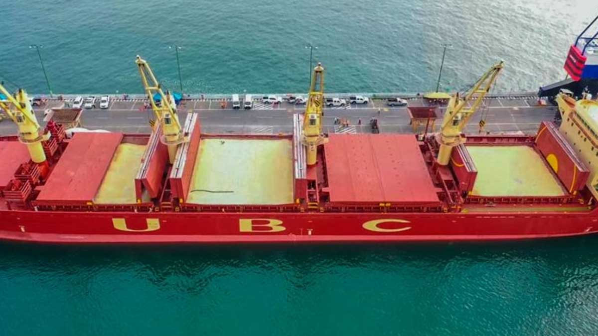 Gobierno importará 115,000 toneladas de maíz blanco