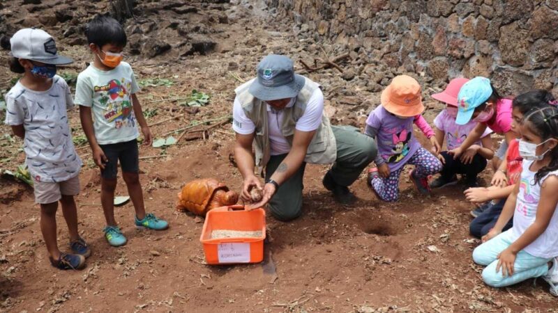 Guardaparques del DPNG presentan programa de crianza de tortugas a estudiantes