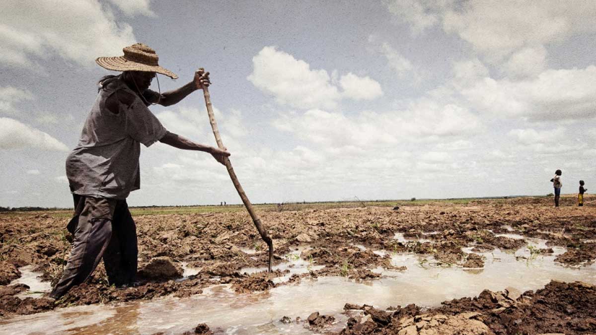 La combinación de covid-19 y cambio climático ha dañado a los más vulnerables
